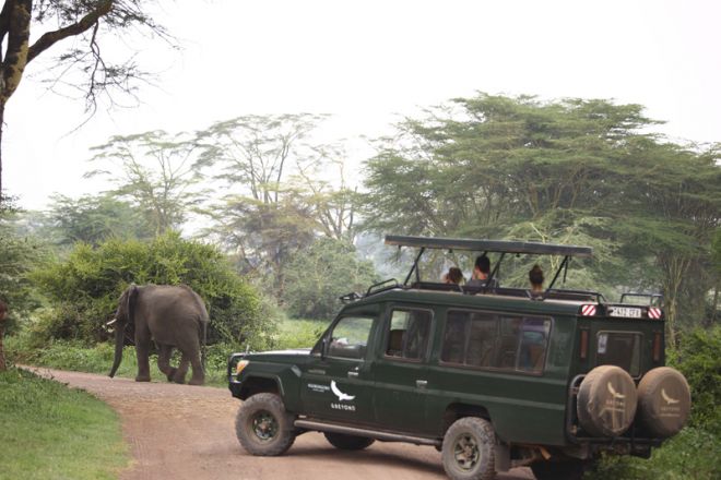 &Beyond Ngorongoro Crater Lodge game drive elephant