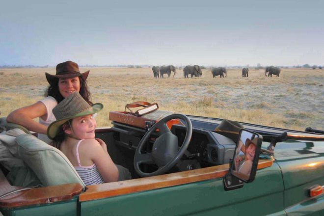 Camp Kalahari Game Drive Elephant