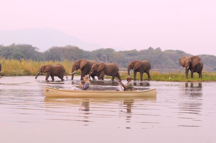 Chiawa Camp Canoeing Elephant