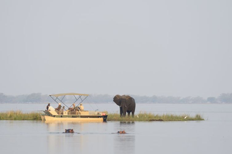 Chiawa Camp Pontoon Boat - Elephant and Hippo
