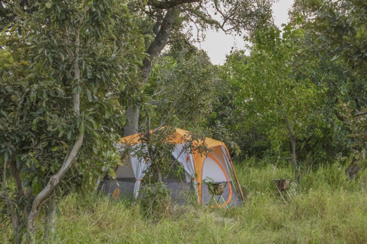 David Foot Walking Safaris Tent Exterior