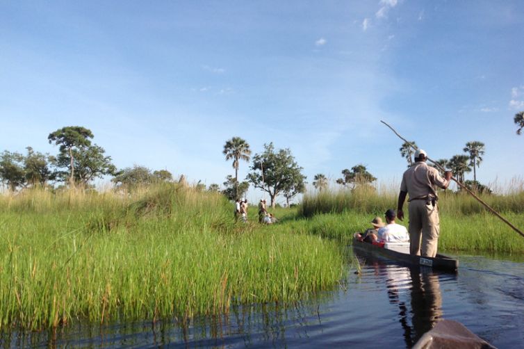 David Foot Walking Safaris Mokoro