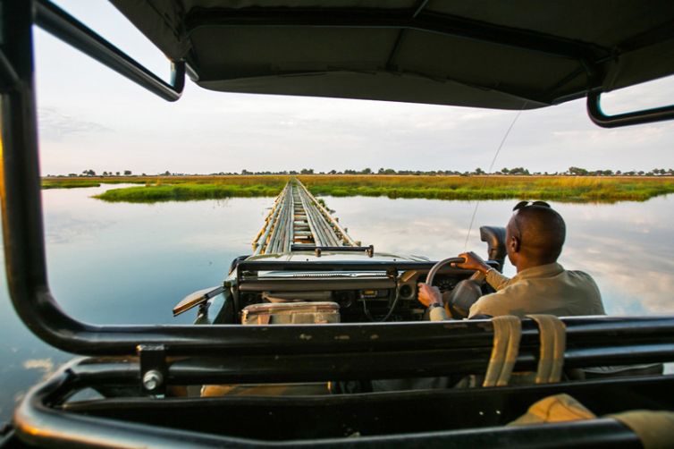 Duba Plains Game Drive