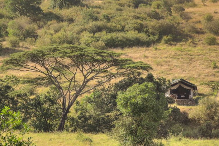 Kicheche Mara Camp Tent Setting