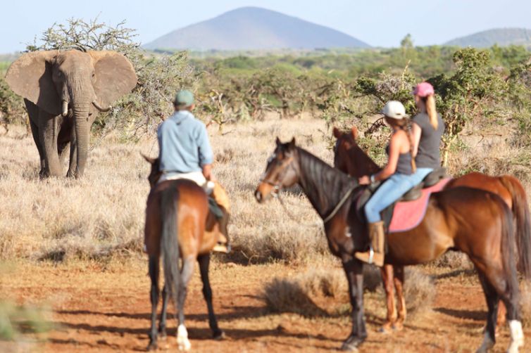 Lewa Wilderness Camp Horse Riding with Elephant