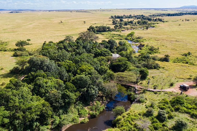 Mara Plains Camp - Africa Safari Holiday Specialists, Tailor-Made Safari Trips