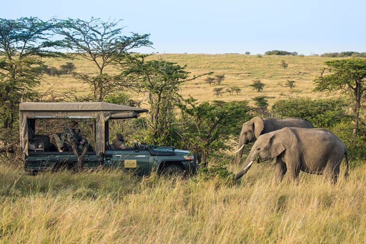 Mara Plains Camp - Africa Safari Holiday Specialists, Tailor-Made Safari Trips