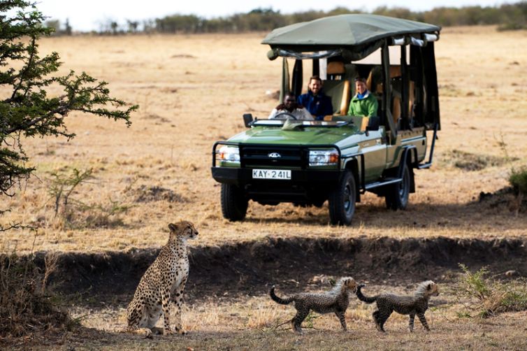 Mara Plains Camp Game Drive with Cheetah Cubs