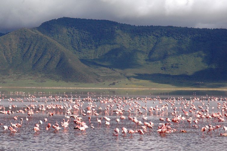 &Beyond Ngorongoro Crater Lodge flamingo lake
