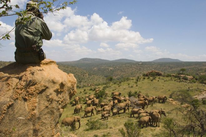 Ol Malo Lodge Elephant View