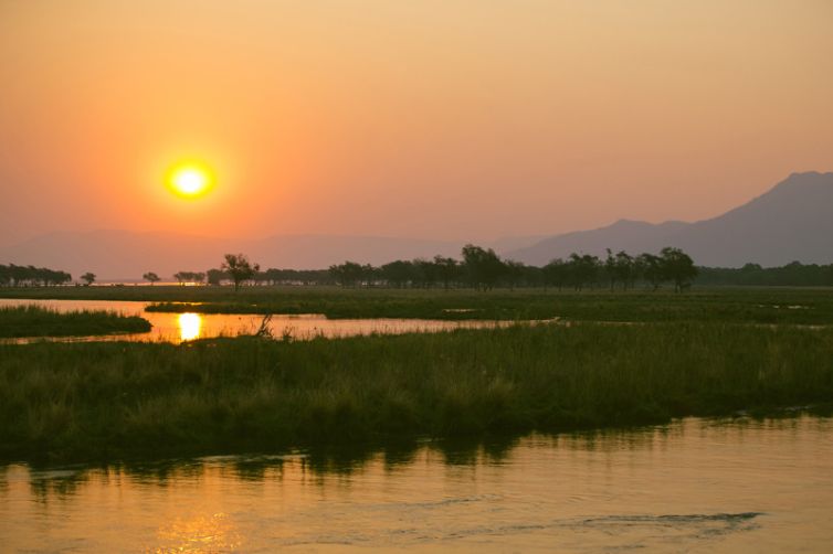 Sausage Tree Camp View from Camp