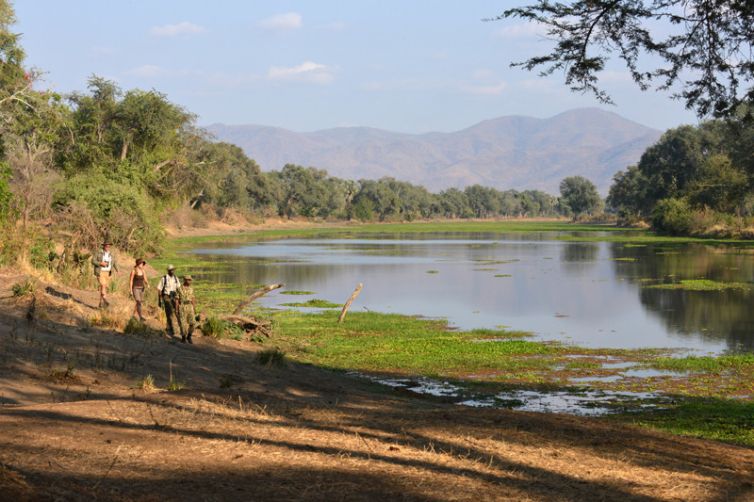 Sausage Tree Camp Walk River