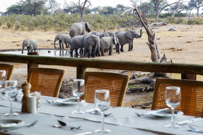 Savute Safari Lodge Dining Elephants