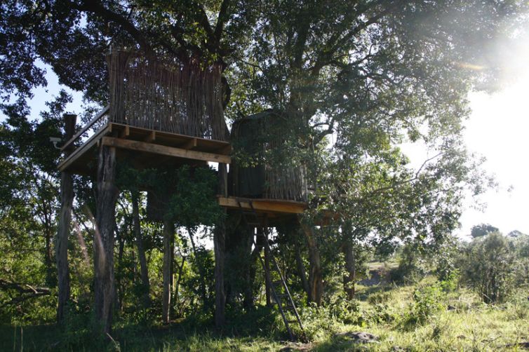 serian-the-nest-c_aws