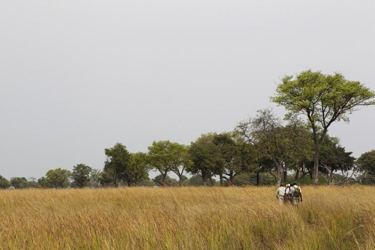 Shinde Camp & Enclave Walk