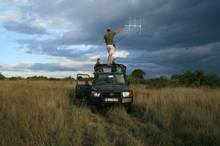Sosian lion tracking game drive