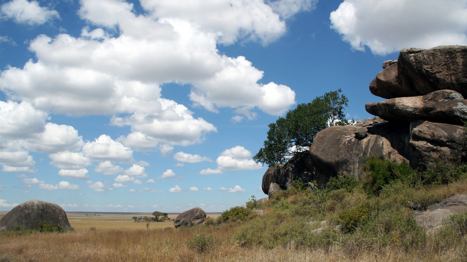 tanzania regions serengeti