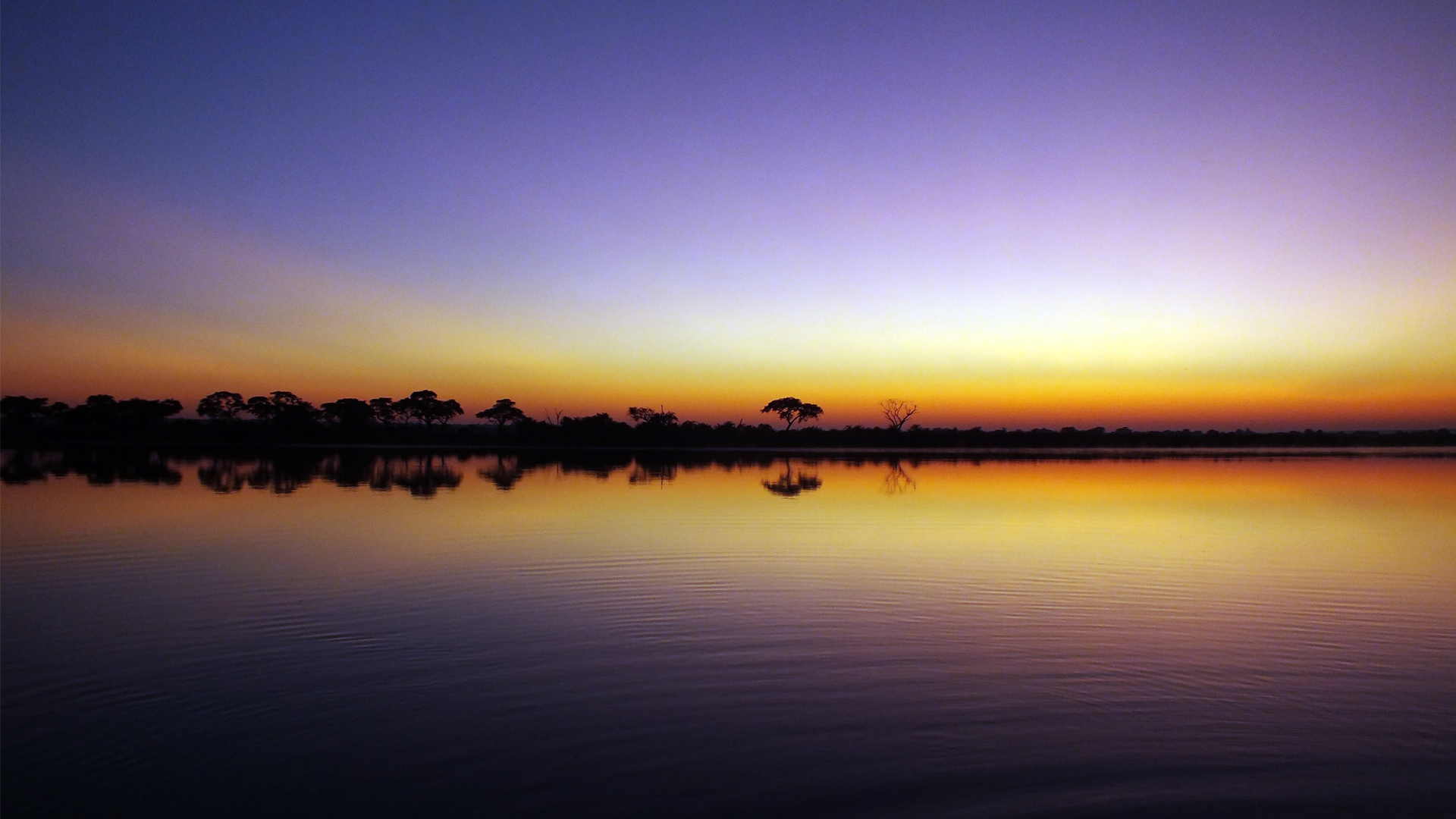 zambia testimonials upper zambezi sunset