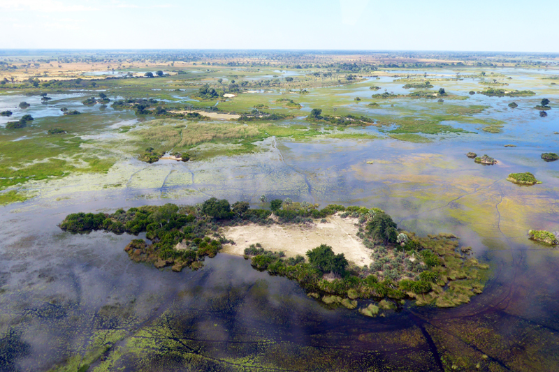 Botswana delta aerial