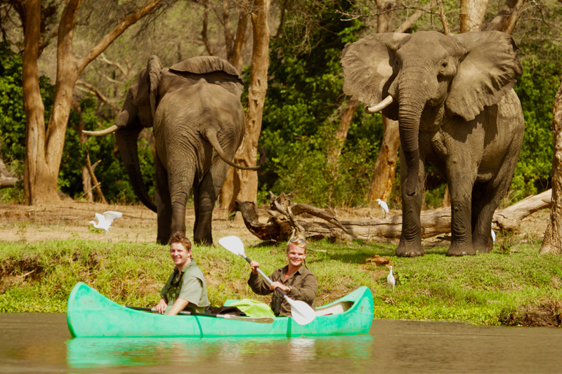 Zambia landing page tusk and mane canoeing elephants