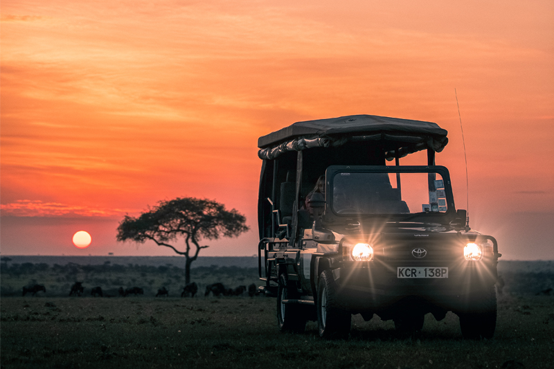 All About Safaris Great Value kenya ol seki game drive sunrise