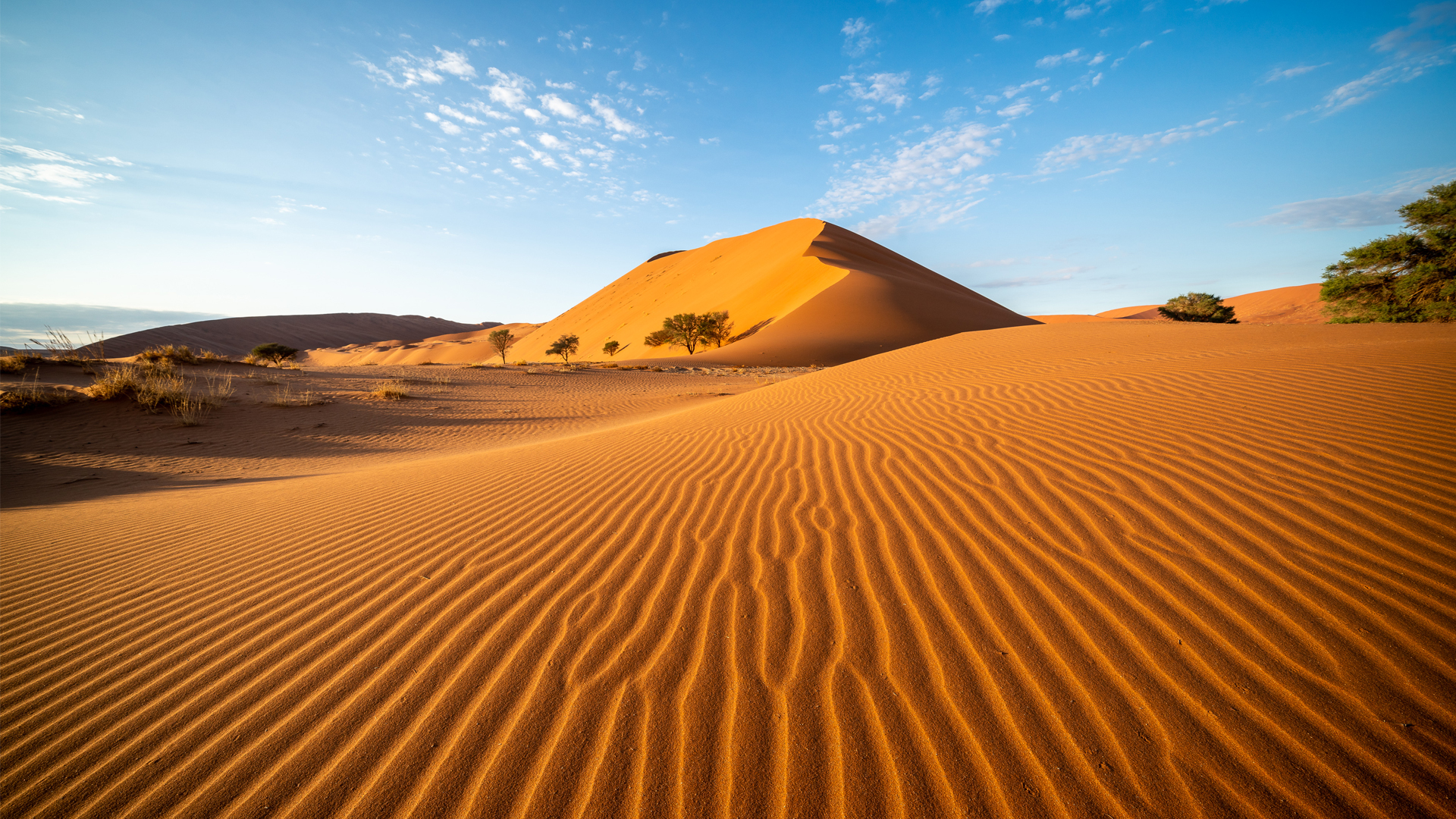 Namibia header desert scene