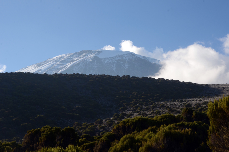 special interest trekking summits africa kilimanjaro