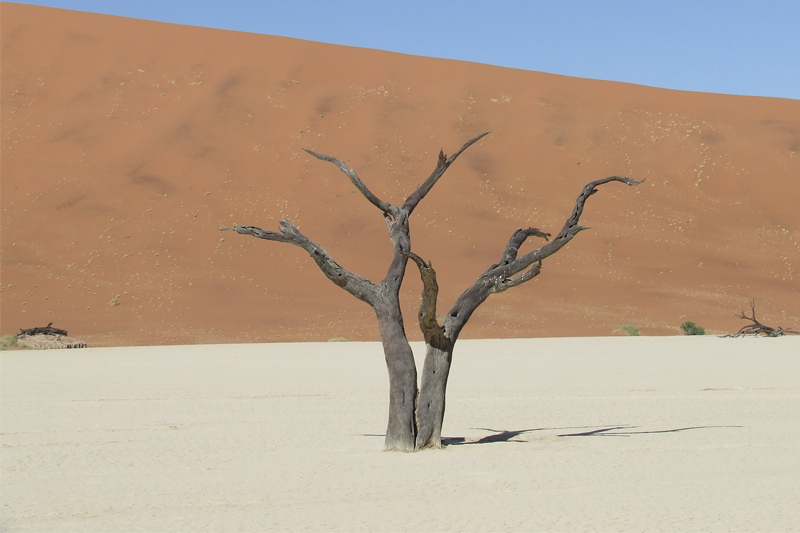 michele travels through the wilderness of namibia december 2011
