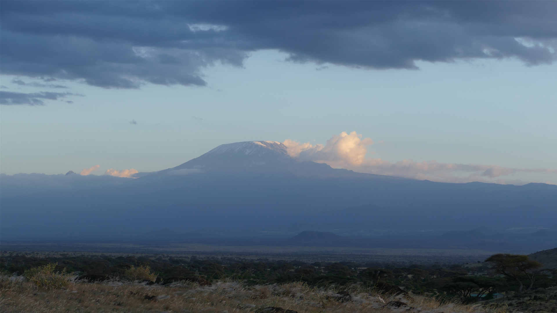 1-kilimanjaro