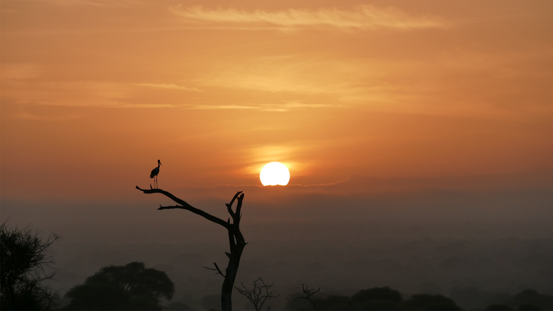 zimbabwe other regions sunset