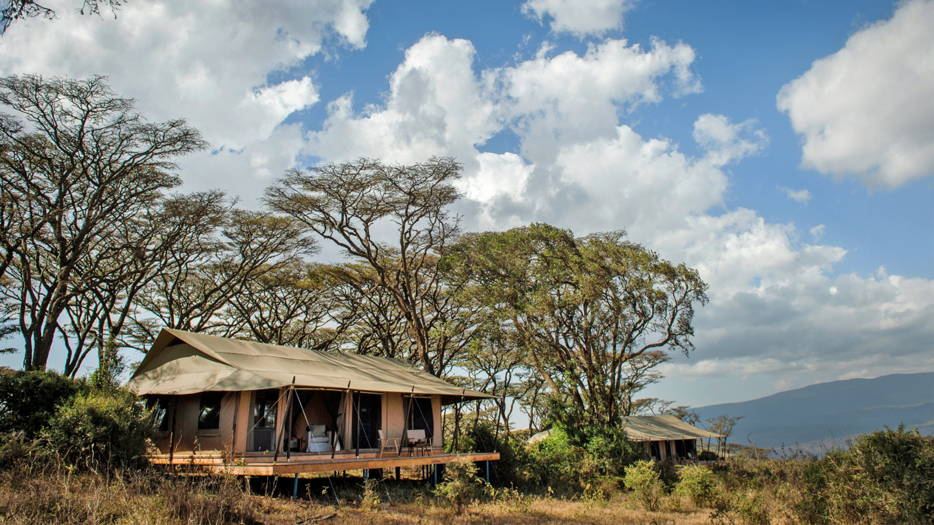 Entamanu Ngorongoro header