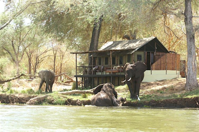 Old-Mondoro-room-setting-elephant