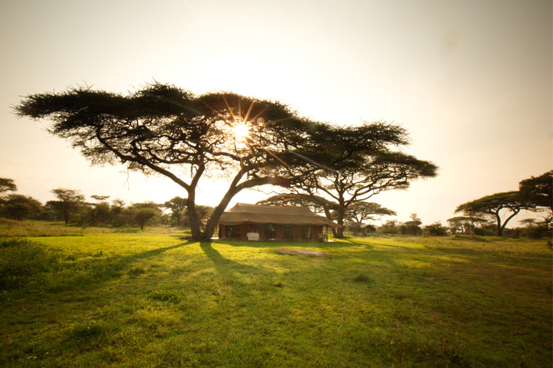 Serian-Serengeti-Kusini-main-tent-thumb