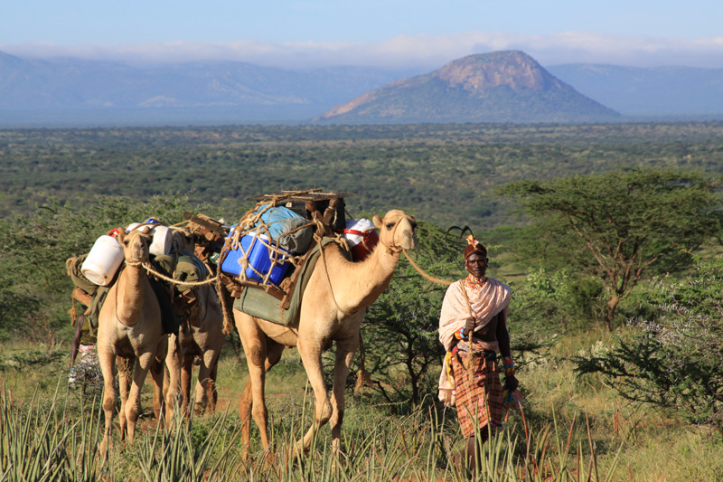 Sarara Camp Camel Trek