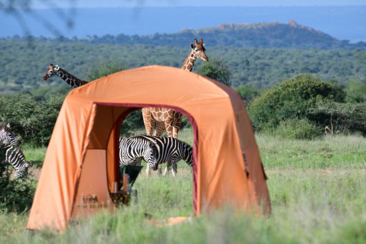 Karisia-AirBnC-Animals-View