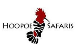 3 Hoopoe Safaris