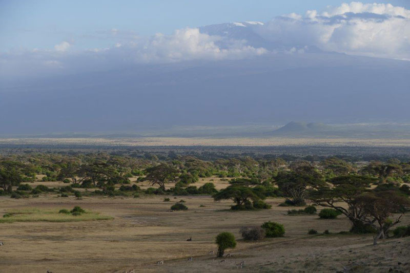 5 P1000986 amboseli
