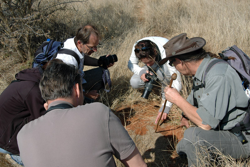 Bruno and clients blog