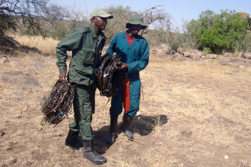 Serengeti De snaring work C NT blog