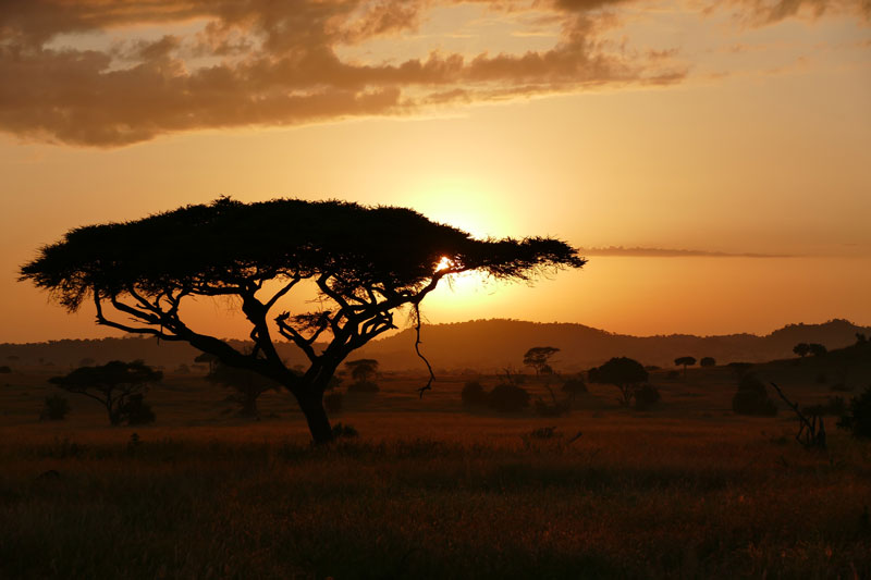 11 Serengeti Sunrise 3