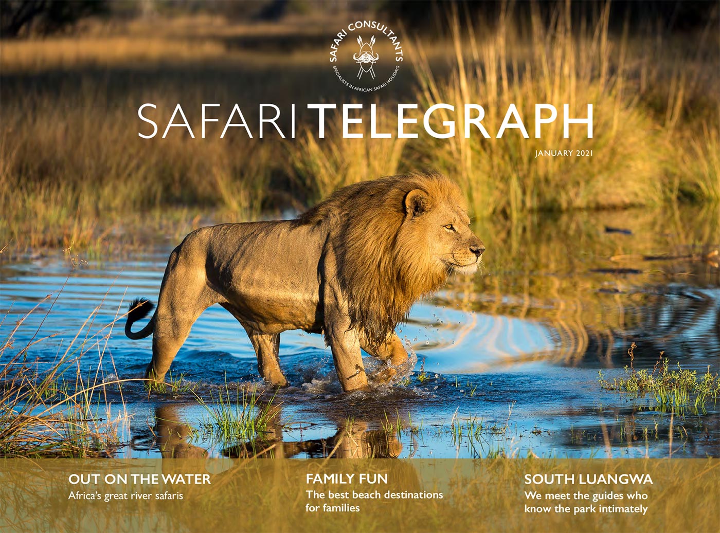 Safari Telegraph – January 2021