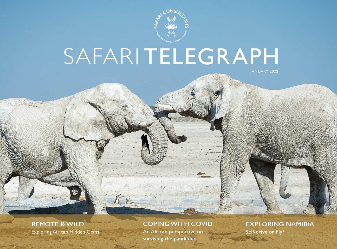 Safari Telegraph – January 2022