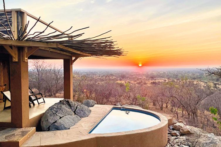 Safari Consultants - Tailor-Made Safari Trips