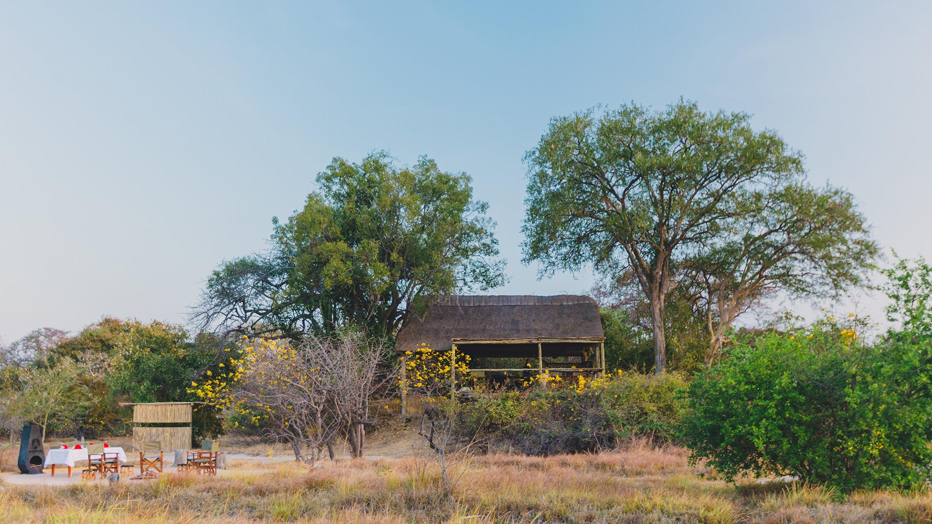 Safari Consultants - Tailor-Made Safari Trips