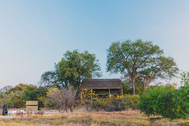 Safari Consultants - Tailor-Made Safari Trips