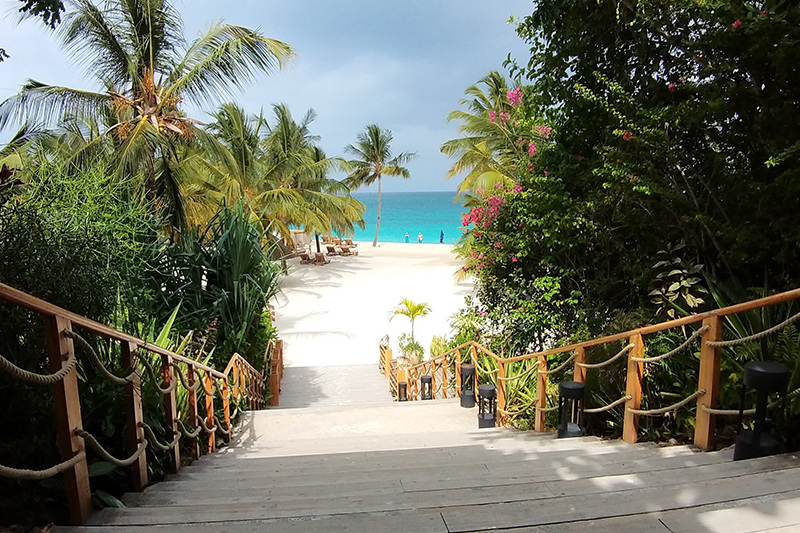 Kelly Rediscovers the Beaches of Zanzibar