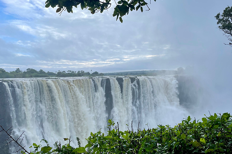 Michele returns to Victoria Falls Safari Consultants