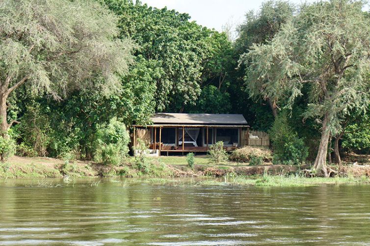 Safari Consultants - Tailor-Made Safari Trips