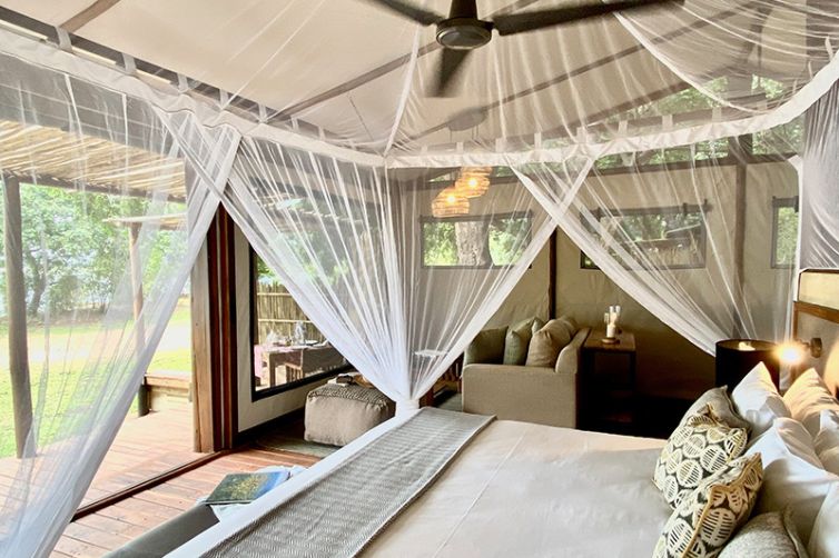 Safari Consultants - Tailor-Made Safari Trips