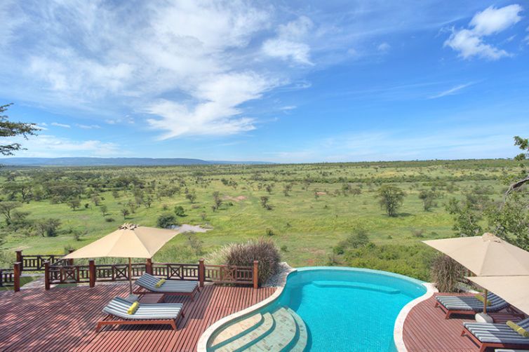 Safari Consultants - Tailor-Made Safari Trips